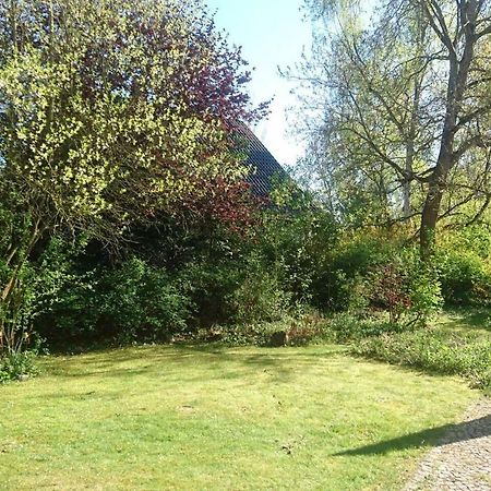 Sonniges Haeuschen Mit Garten Braunschweig Exteriér fotografie