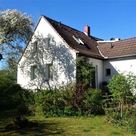 Sonniges Haeuschen Mit Garten Braunschweig Exteriér fotografie
