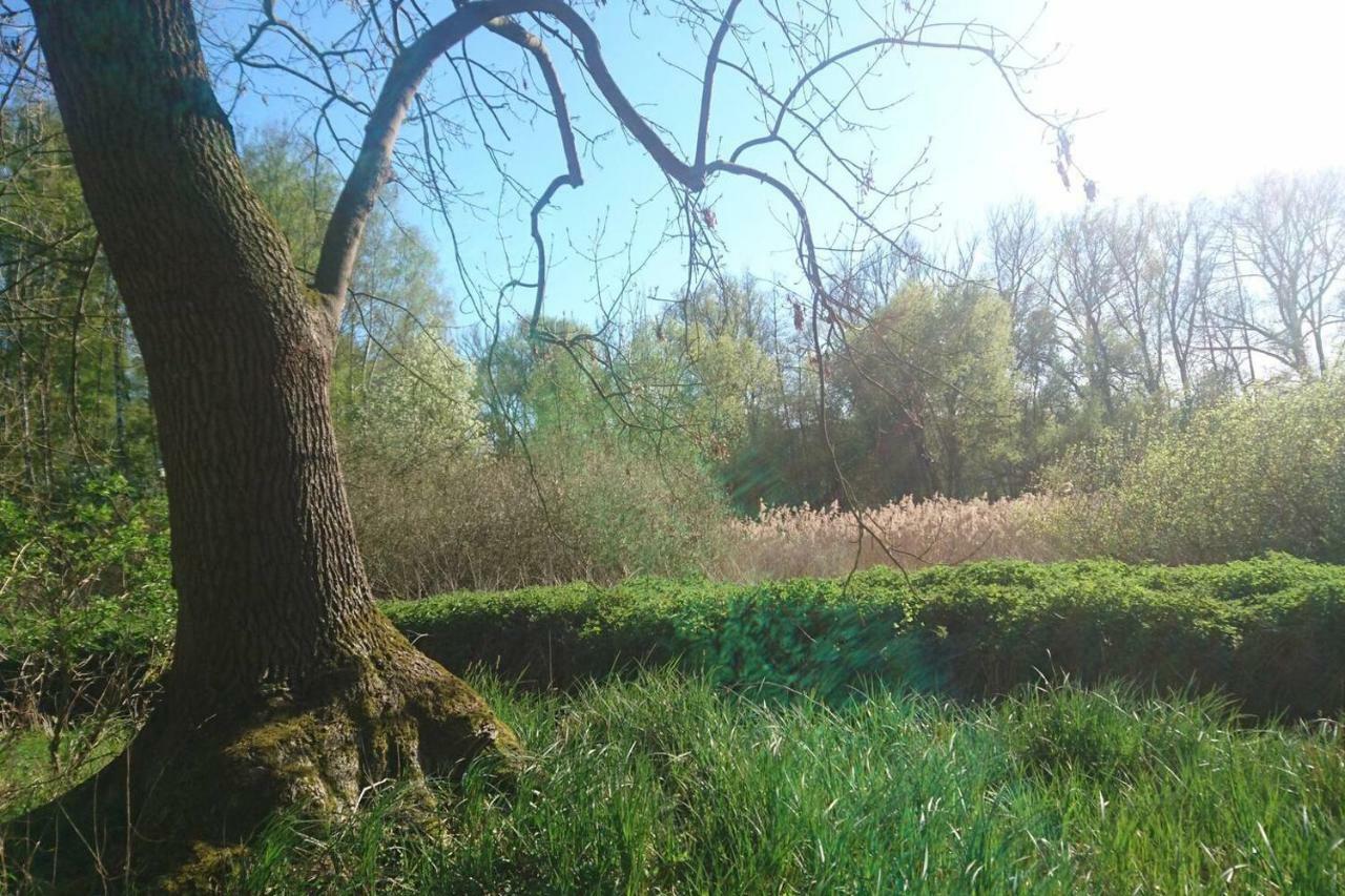 Sonniges Haeuschen Mit Garten Braunschweig Exteriér fotografie